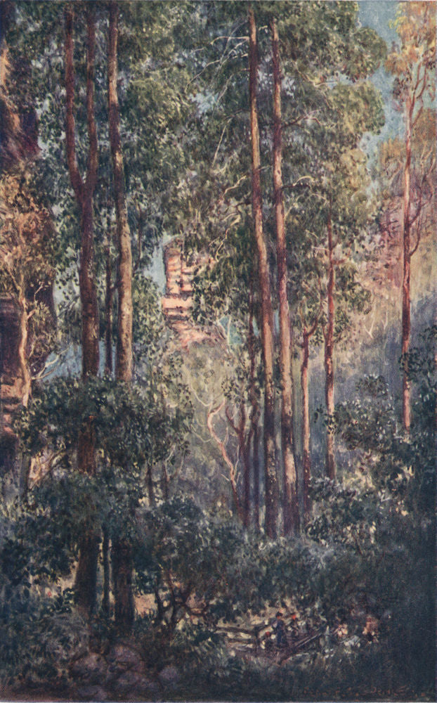 'A Bush Valley' by Percy Spence. Australia 1910 old antique print picture